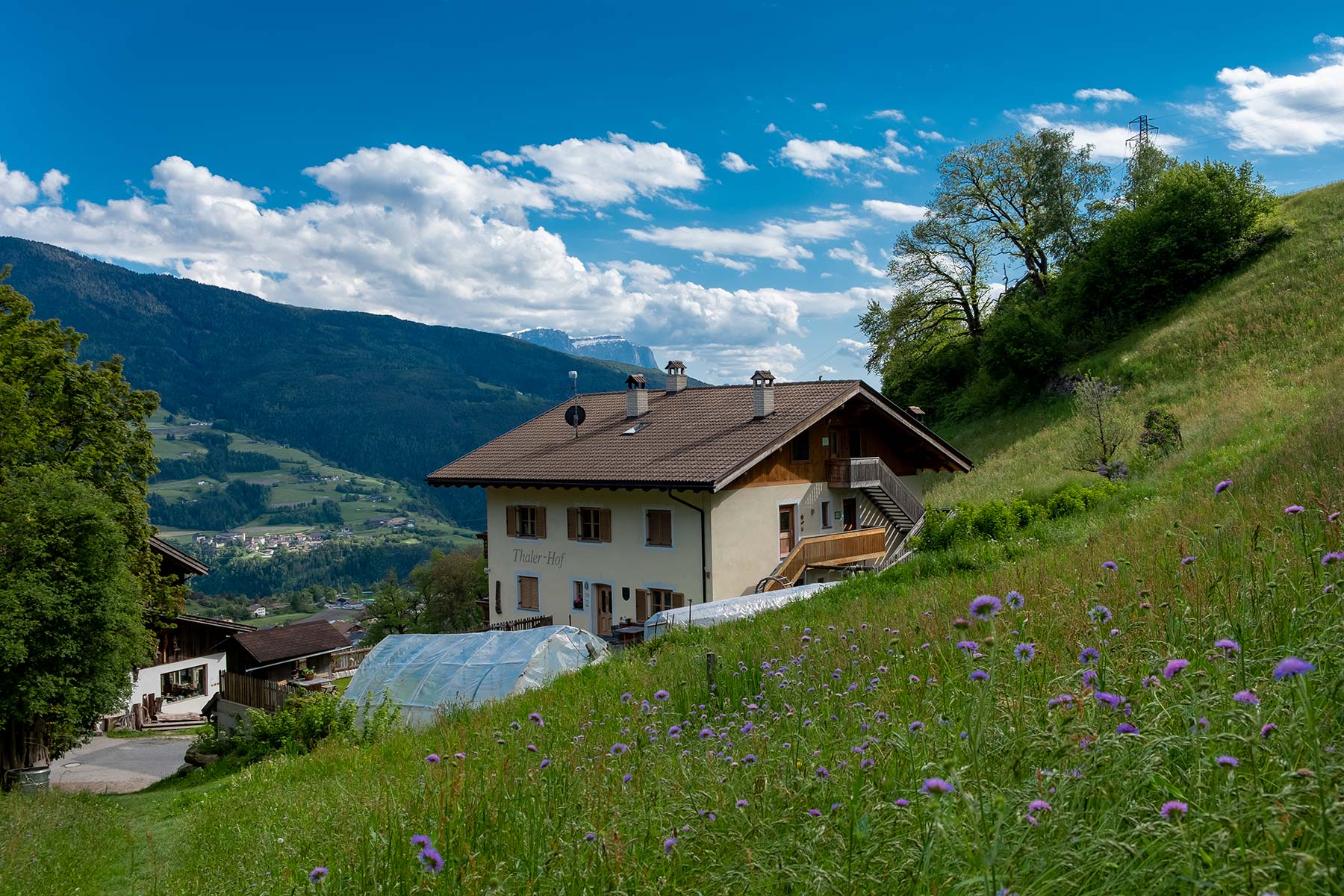 Esperienza di escursioni e montagne